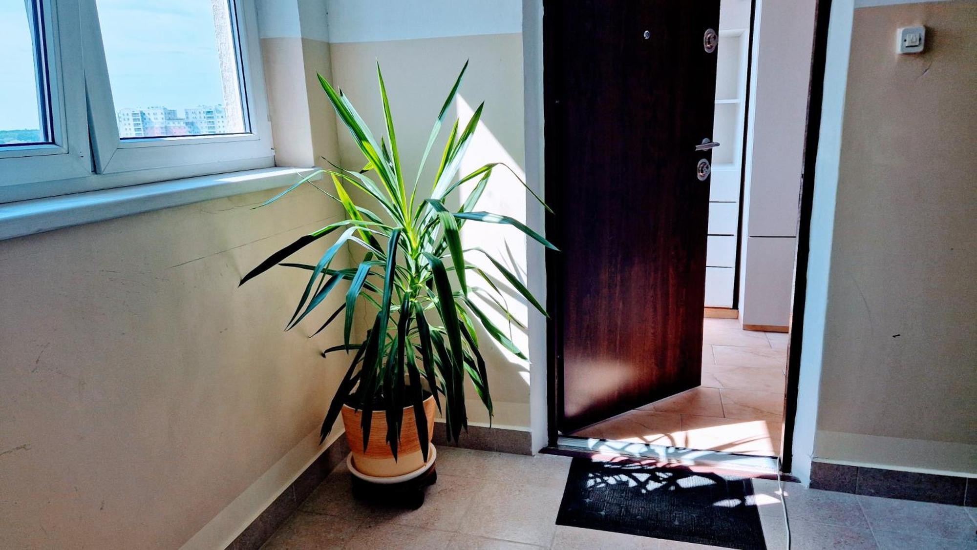 Meander Natolin Pokoje Blisko Metra Varsovie Extérieur photo